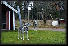 24 -Joepie-och-Flitz * 3872 x 2592 * (4.23MB)